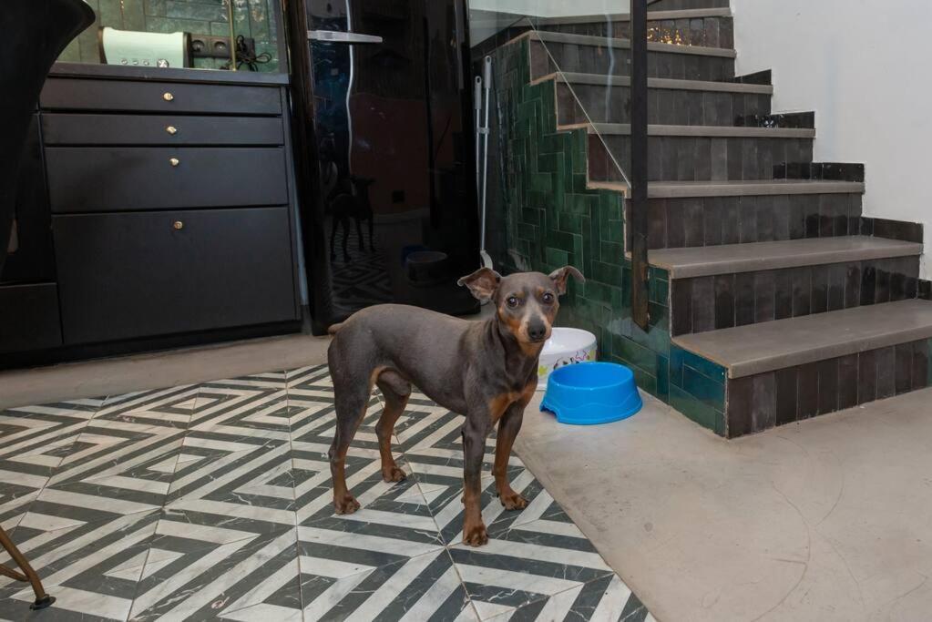 Casa Maria Townhouse- Terrace-4 Bedrooms โอสปิตาเล็ต เดอ โยเบรกัต ภายนอก รูปภาพ